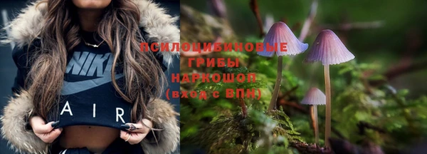 спайс Алзамай