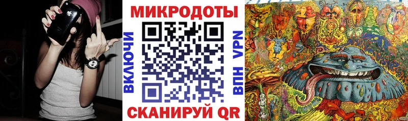 Галлюциногенные грибы Psilocybine cubensis  где купить наркоту  Наволоки 